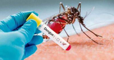 В Аргентине зафиксировали 40 тысяч зараженных лихорадкой денге - obzor.lt - Аргентина - Буэнос-Айрес - Сантьяго