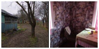 Дом с большим садом продают в Украине за 20 тыс. гривен: как он выглядит и что в нем есть - politeka.net - Украина - Черниговская обл.