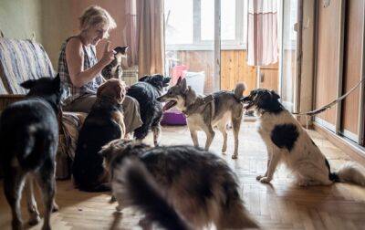 Пенсионерка-киевлянка одна спасает сотни животных - korrespondent.net - Украина - Киев