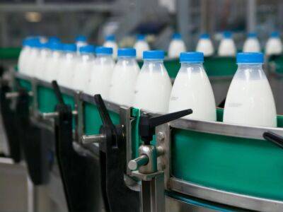 Союз молочных предприятий Украины призвал ввести "зеркальный" импорт польской молочной продукции в Украину - gordonua.com - Украина - Польша - Транзит - Торговля
