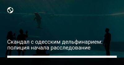 Скандал с одесским дельфинарием: полиция начала расследование - liga.net - Украина - Одесская обл.