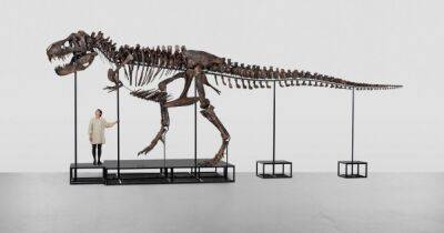 Скелет тираннозавра продан за 6 миллионов долларов на аукционе в Швейцарии (фото) - focus.ua - Украина - Швейцария - штат Монтана - штат Вайоминг