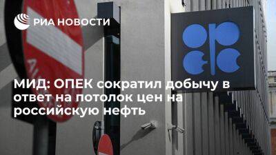 Александр Панкин - МИД: решение ОПЕК сократить добычу было шагом против ограничения цен на российскую нефть - smartmoney.one - Россия