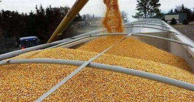 Евросоюз введет экстренные ограничения на импорт зерна из Украины, — СМИ - dsnews.ua - Украина - Румыния - Венгрия - Польша - Болгария - Брюссель - Словакия