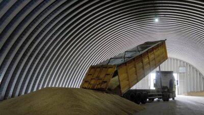 Болгария временно запрещает импорт украинского зерна - ru.euronews.com - Украина - Румыния - Болгария - Брюссель