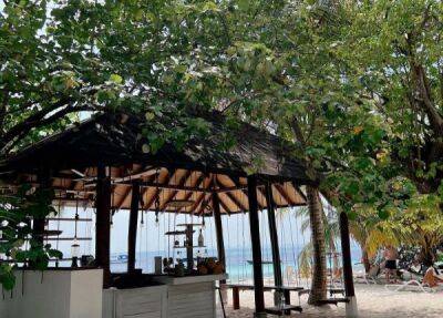 Уникальный климат, бесплатные обеды и попугай-сторож: восторженный отзыв о Мальдивах - fokus-vnimaniya.com - Мальдивы - Мале