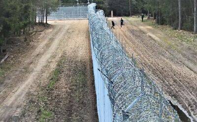 В Сейме остался один шаг до принятия закона, позволяющего разворачивать нелегалов - obzor.lt - Литва