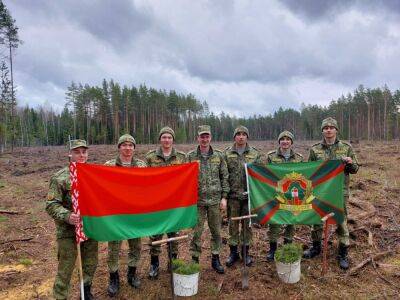Гродненские пограничники присоединились к акции «Неделя леса» - grodnonews.by - Белоруссия
