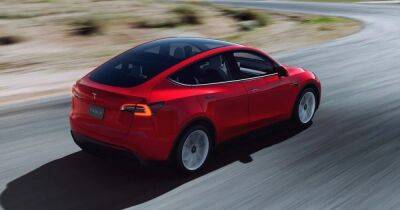 Tesla Model Y стала самым популярным автомобилем в Европе: статистика продаж - focus.ua - Украина