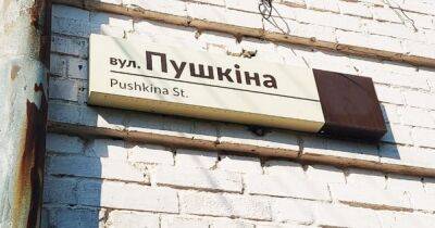 Владимир Зеленский - Больше никаких Пушкиных: Зеленский подписал закон о деколонизации топонимов - dsnews.ua - Россия - Украина