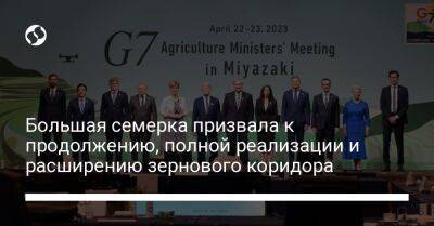 Николай Сольский - Большая семерка призвала к продолжению, полной реализации и расширению зернового коридора - liga.net - Россия - Украина - Япония - Анкара