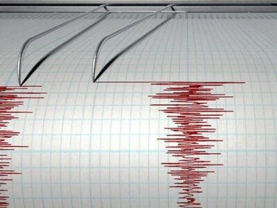 В Новой Зеландии произошло мощное землетрясение - unn.com.ua - Украина - Киев - Новая Зеландия - Индонезия