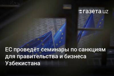 ЕС проведёт семинары по санкциям для правительства и бизнеса Узбекистана - gazeta.uz - Узбекистан - Ташкент