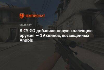 В CS:GO добавили новую коллекцию оружия — 19 скинов, посвящённых Anubis - championat.com