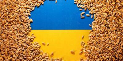 Пять продуктов. Еврокомиссия предложит запретить до конца года импорт в пять стран из Украины - biz.nv.ua - Украина - Венгрия - Польша - Словакия