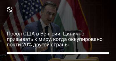 Владимир Путин - Посол США в Венгрии: Цинично призывать к миру, когда оккупировано почти 20% другой страны - liga.net - США - Украина - Венгрия