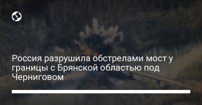 Вячеслав Чаус - Россия разрушила обстрелами мост у границы с Брянской областью под Черниговом - liga.net - Россия - Украина - Черниговская обл. - Брянская обл.