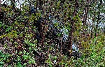 В Гродно водитель перепутала режимы коробки передач: машина повисла среди деревьев - charter97.org - Белоруссия - Гродненская обл.