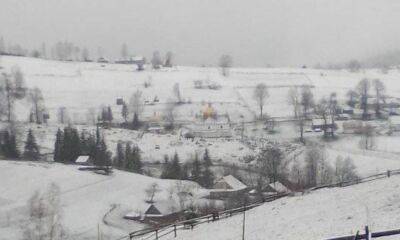 Метель и сильный ветер: В одном из регионов Украины выпал снег (видео) - vchaspik.ua - Украина