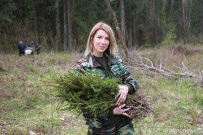 Как на Гродненщине прошла республиканская акция «Неделя леса-2023»? - grodnonews.by - Белоруссия