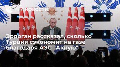 Владимир Путин - Реджеп Тайип Эрдоган - Тайип Эрдоган - Эрдоган: АЭС "Аккую" сэкономит Турции 1,5 миллиарда долларов в год на импорте газа - smartmoney.one - Россия - Турция