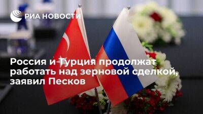 Владимир Путин - Дмитрий Песков - Тайип Эрдоган - Песков: Россия и Турция продолжат работу над вопросами по реализации зерновой сделки - smartmoney.one - Москва - Россия - Турция