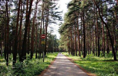 Жителям Твери напомнили о правилах поведения в городских рощах и в Сахаровском парке - afanasy.biz - Тверь - Тверская обл. - Экология