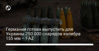 Жозеп Боррель - Дмитрий Кулеба - Германия готова выпустить для Украины 250 000 снарядов калибра 155 мм – FAZ - liga.net - Украина - Германия