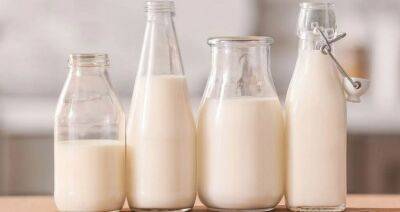 Польские молочники выступают против запрета на ввоз молока с Украины - produkt.by - Украина - Белоруссия - Польша
