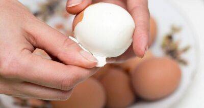 Почистить яйцо за пять секунд: оказывается, мы все делали неправильно - cxid.info - Париж