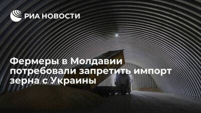 Фермеры в Молдавии потребовали ввести запрет на импорт зерна и других продуктов с Украины - smartmoney.one - Украина - Молдавия - Румыния - Венгрия - Польша - Болгария - Ляйен - Словакия