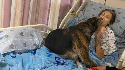 В больнице исполнили последнее желание Марии: проститься с любимой собакой - vesty.co.il - Израиль - Бат-Яма