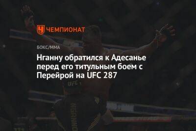 Фрэнсис Нганн - Алексей Перейрой - Нганну обратился к Адесанье перед его титульным боем с Перейрой на UFC 287 - championat.com - США - Бразилия - шт.Флорида - Новая Зеландия