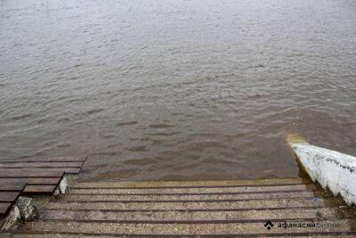 В Западной Двине из-за разлива реки подтопило несколько дачных участков - afanasy.biz - Россия - Тверская обл.
