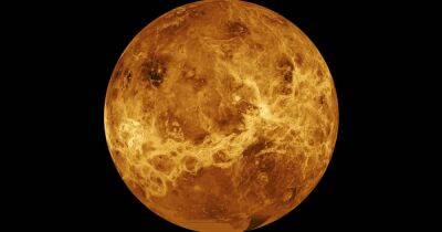 Создана самая подробная карта вулканов Венеры: их десятки тысяч, но ни одного на южном полюсе (фото) - focus.ua - США - Украина - Вашингтон - штат Миссури
