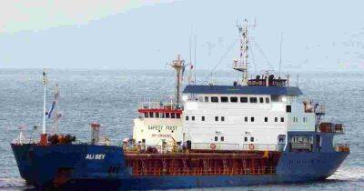 У берегов Турции затонуло судно, следовавшее в Украину - dsnews.ua - Сирия - Украина - Турция - Гвинея Бисау