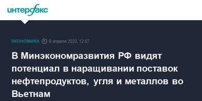 Дмитрий Чернышенко - В Минэкономразвития РФ видят потенциал в наращивании поставок нефтепродуктов, угля и металлов во Вьетнам - smartmoney.one - Москва - Россия - Вьетнам