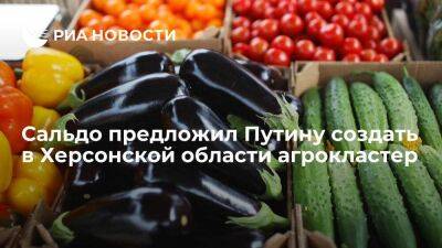 Владимир Путин - Владимир Сальдо - Врио главы Херсонской области Сальдо предложил Путину создать в регионе агрокластер - smartmoney.one - Россия - Херсонская обл.