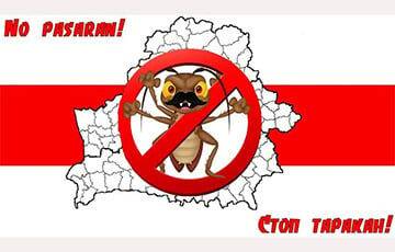 Как избавиться от тараканов - charter97.org - Белоруссия