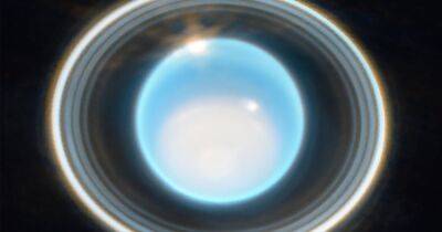 Джеймс Уэбб - Невидимая особенность Урана. Телескоп Уэбб сделал потрясающий снимок ледяного гиганта (фото) - focus.ua - Украина