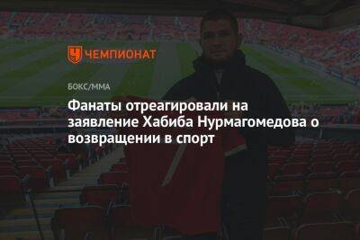 Хабиб Нурмагомедов - Фанаты отреагировали на заявление Хабиба Нурмагомедова о возвращении в спорт - championat.com - Мадрид - Сантьяго