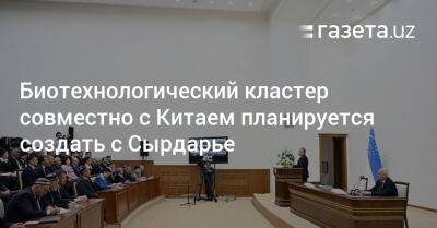 Шерзод Асадов - Биотехнологический кластер совместно с Китаем планируется создать в Сырдарье - gazeta.uz - Китай - Узбекистан