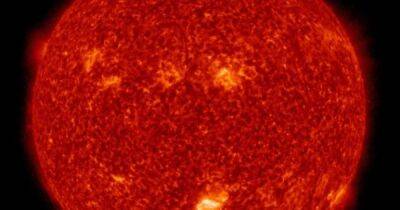 Солнце похоже на Солнце. Ученые поставили точку в давнем споре о нашей звезде - focus.ua - Украина