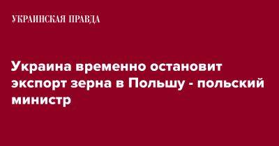 Роберт Телус - Украина временно остановит экспорт зерна в Польшу - польский министр - pravda.com.ua - Украина - Польша
