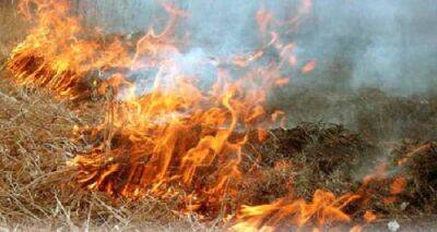 Чем чревато сжигание сухой травы? | Новости Одессы - odessa-life.od.ua - Украина - Одесса - Гсчс