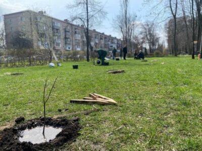 Держекоінспекція висадила близько 500 саджанців Дубів Шевченка - ukrainianwall.com - Украина