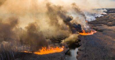 В Бурятии пожарные сжигали пожухлую траву и уничтожили половину села (ВИДЕО) - dsnews.ua - Россия - Украина - респ.Бурятия