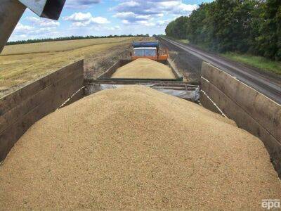 Матеуш Моравецкий - Венгрия усилит контроль над импортом украинского зерна из-за снижения цен - gordonua.com - Россия - Украина - Румыния - Венгрия - Польша - г. Бухарест - Транзит