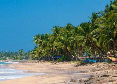 Стало известно, сколько стоит отдых на Шри-Ланке в апреле - fokus-vnimaniya.com - Шри Ланка