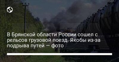 В Брянской области России сошел с рельсов грузовой поезд. Якобы из-за подрыва путей — фото - liga.net - Россия - Украина - Брянская обл.